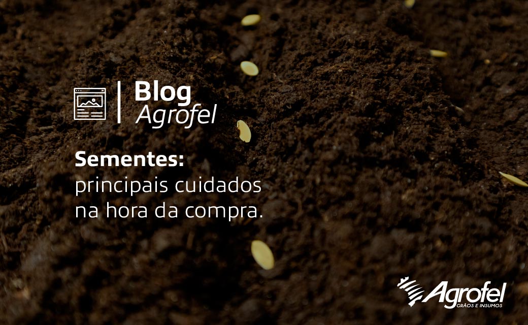 Leia mais sobre o artigo Sementes: principais cuidados na hora da compra