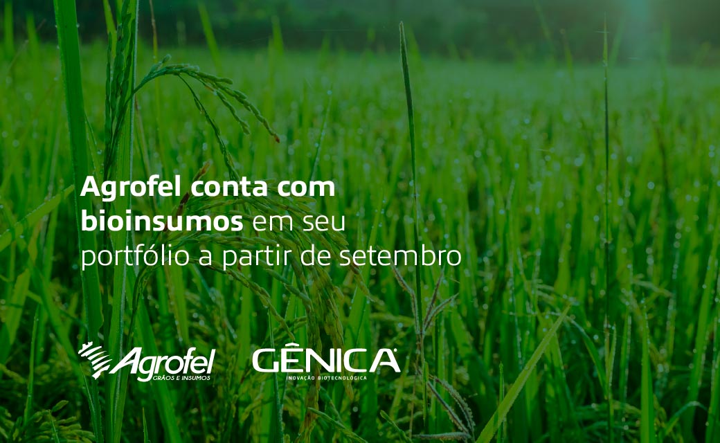 Leia mais sobre o artigo Agrofel conta com bioinsumos em seu portfólio a partir de setembro
