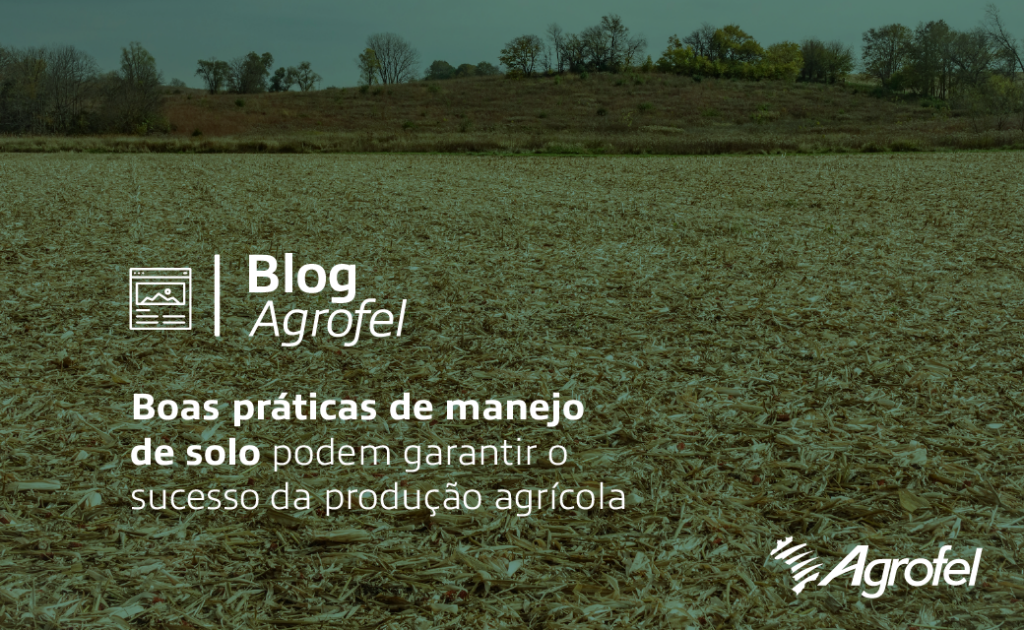 Leia mais sobre o artigo Boas práticas de manejo de solo podem garantir o sucesso da produção agrícola
