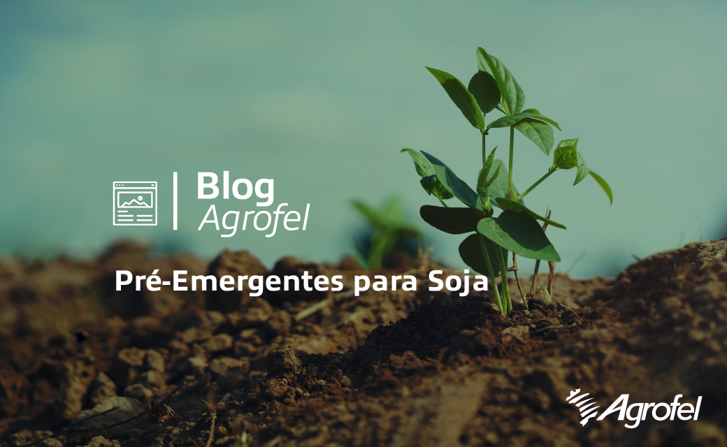 Herbicidas Pré Emergentes na Soja