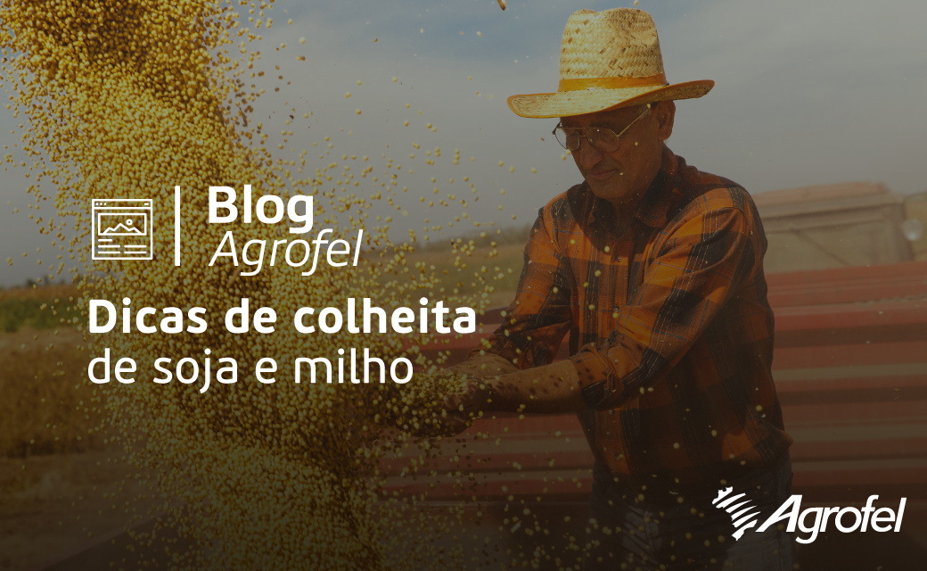 Leia mais sobre o artigo Colheita de soja e milho avança no Rio Grande do Sul: veja dicas para garantir boa produtividade