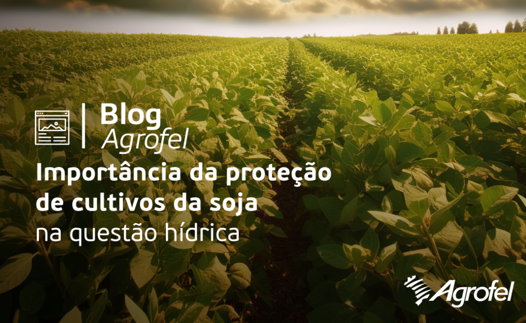 Períodos chuvosos proporcionam condições favoráveis ao ataque de fungos na soja.