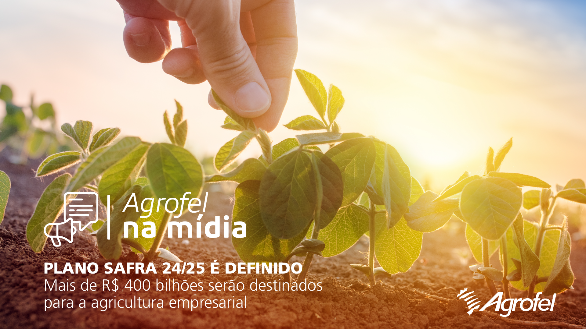 Leia mais sobre o artigo Governo Federal lança Plano Safra 24/25 com R$ 400 bi a agricultura empresarial