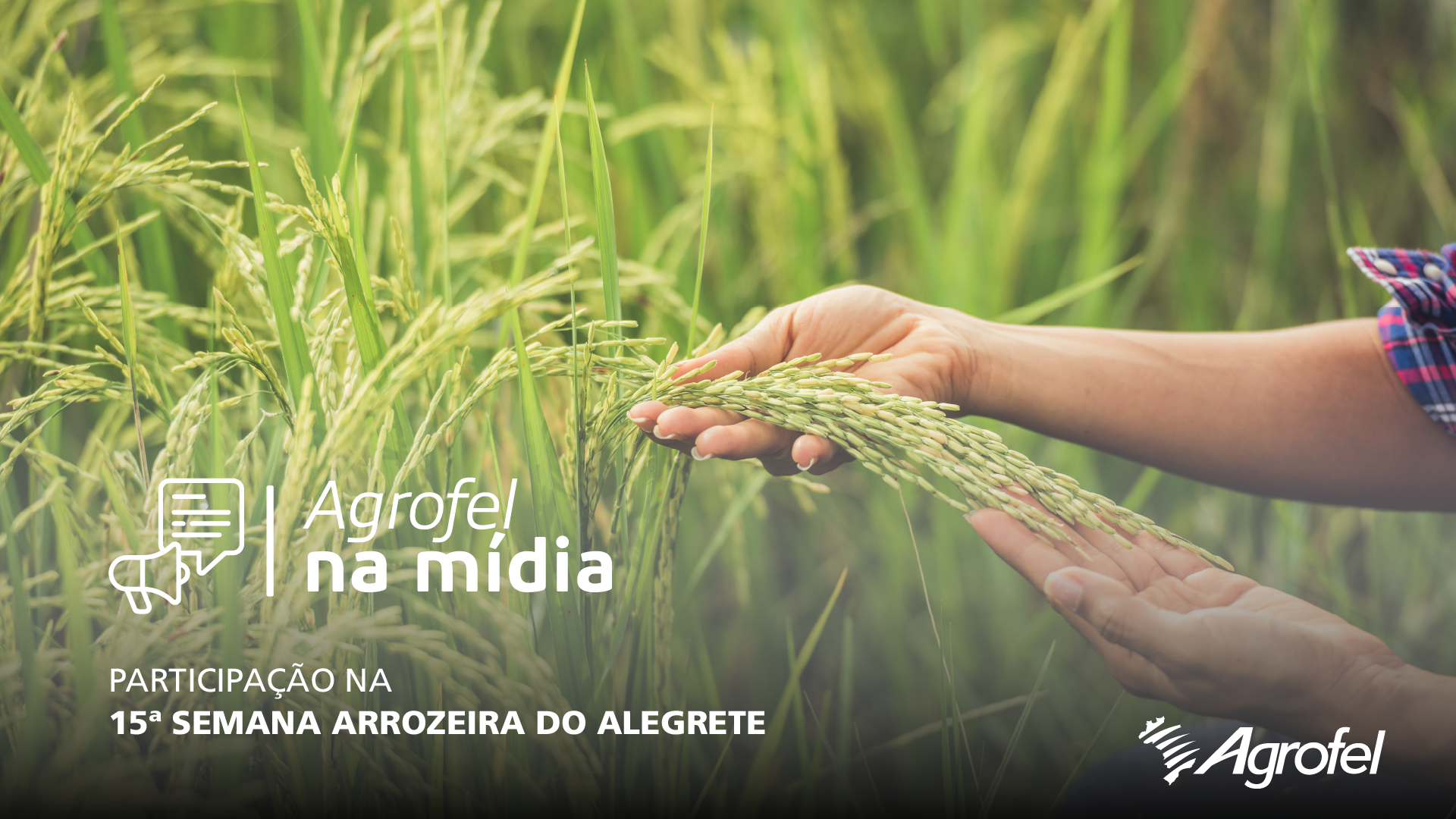 Leia mais sobre o artigo Agrofel participa da 15ª Semana Arrozeira do Alegrete