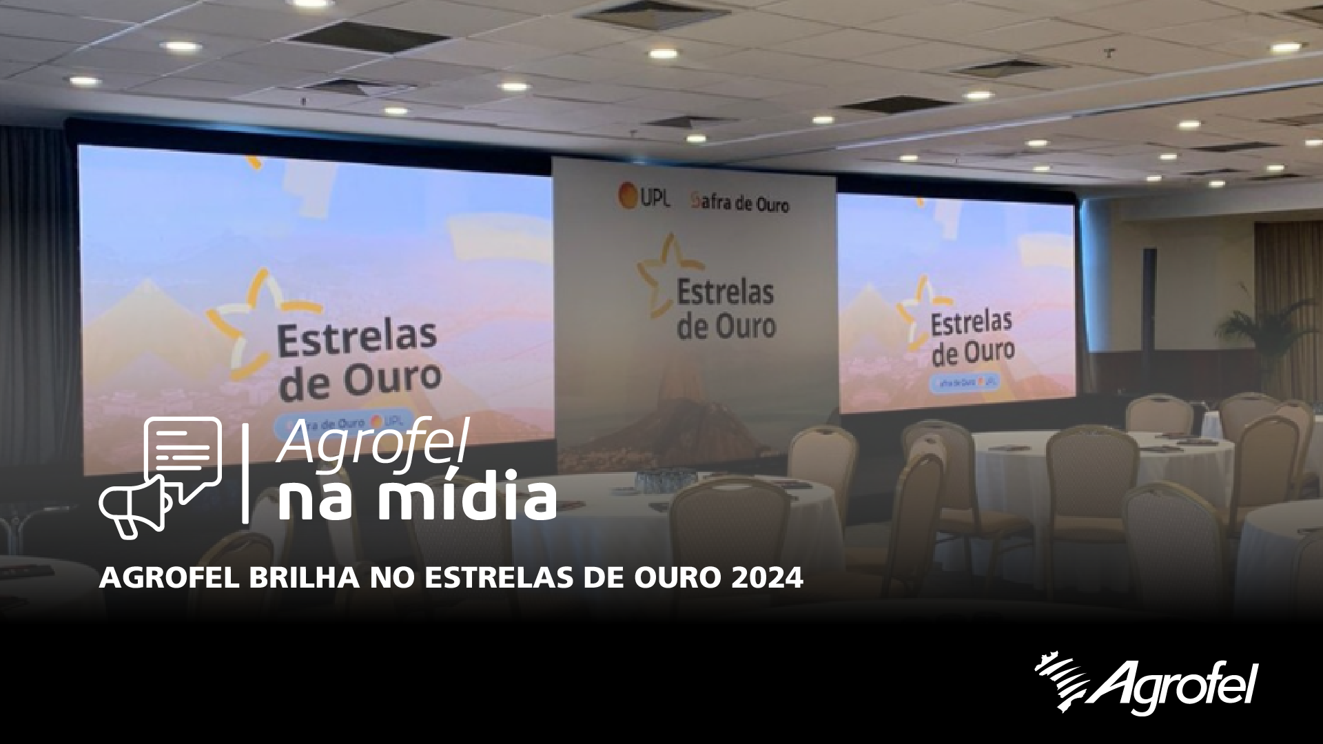 Leia mais sobre o artigo Agrofel brilha no Estrelas de Ouro 2024