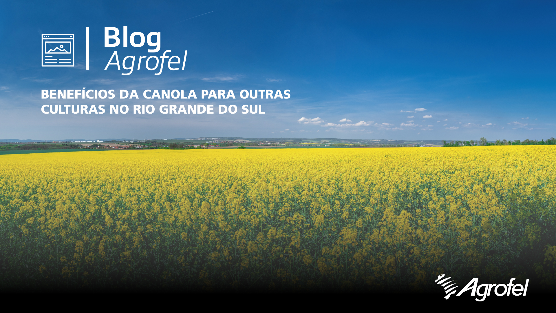 Leia mais sobre o artigo Benefícios da canola para outras culturas no Rio Grande do Sul
