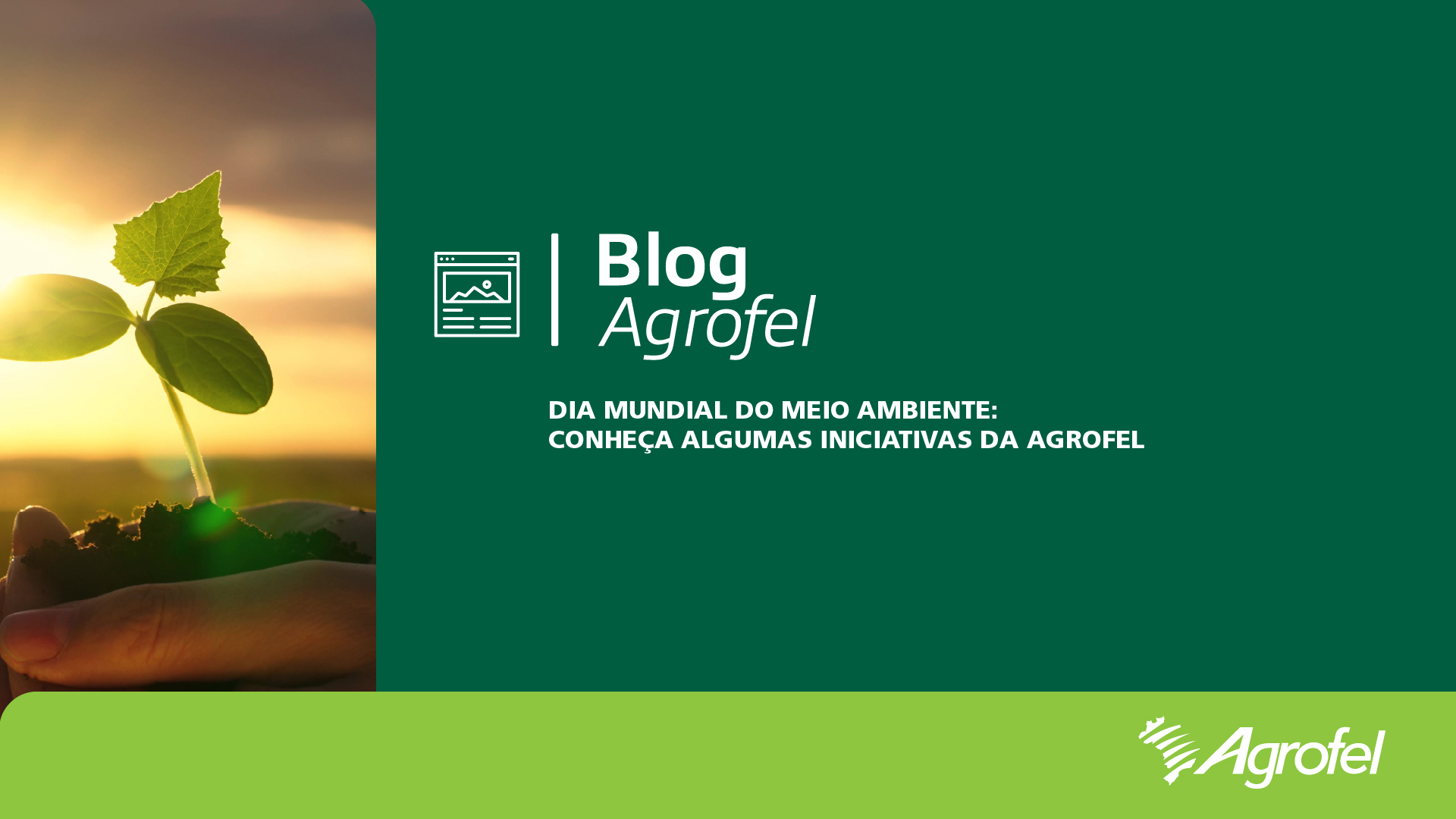 Leia mais sobre o artigo Dia Mundial do Meio Ambiente: Conheça algumas iniciativas da Agrofel