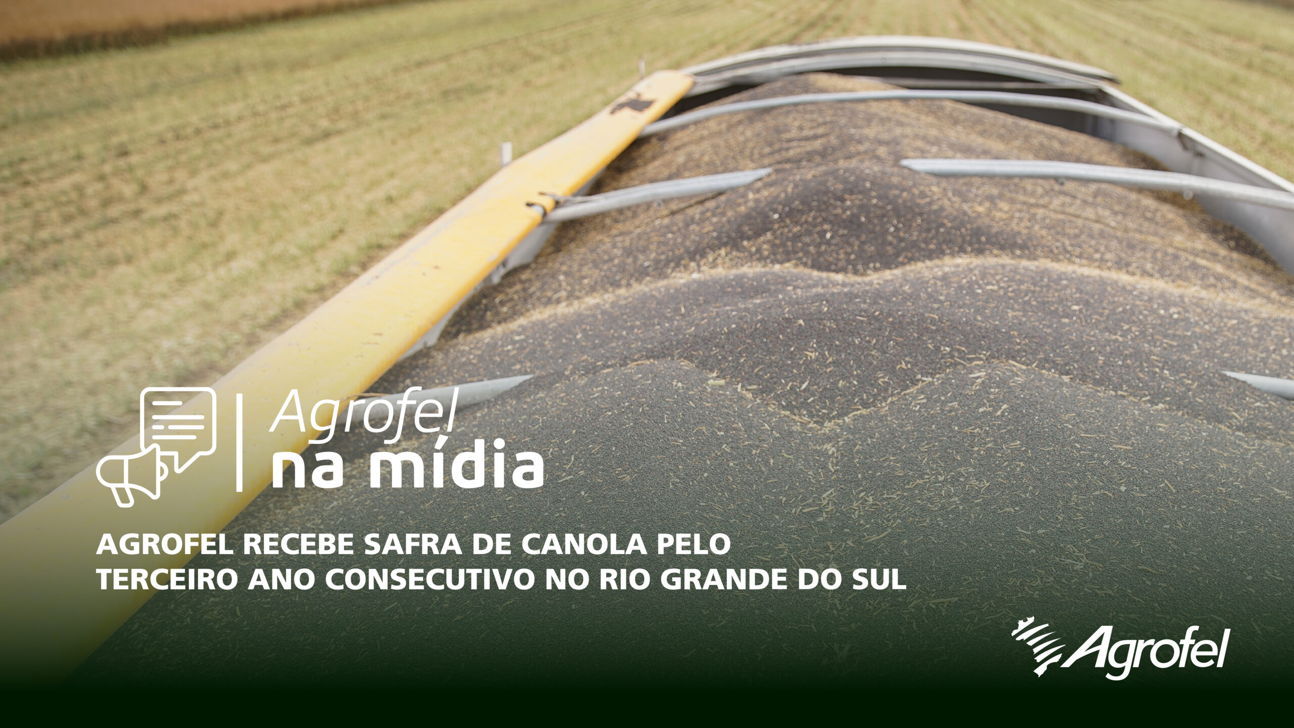 Leia mais sobre o artigo Agrofel recebe safra de canola pelo terceiro ano consecutivo no Rio Grande do Sul