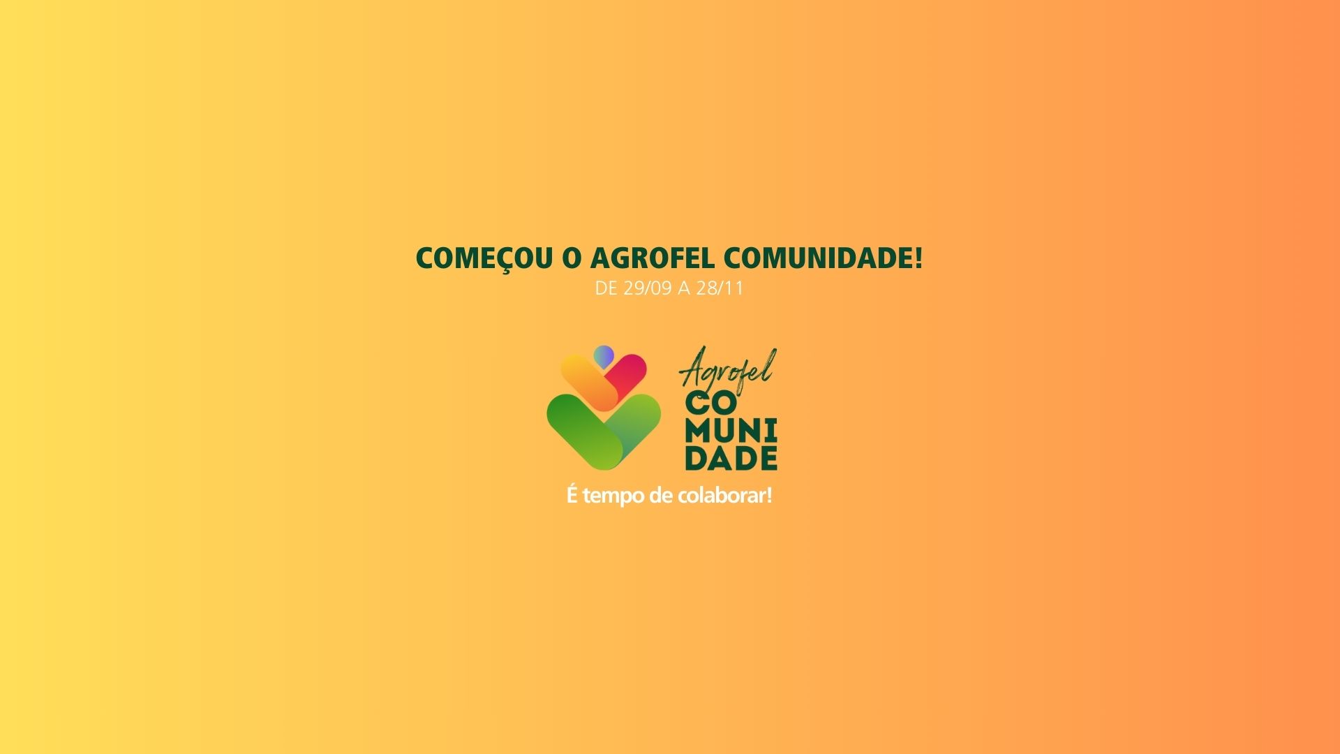 Leia mais sobre o artigo Agrofel inicia a 17ª edição da campanha de arrecadação de alimentos, o Agrofel Comunidade