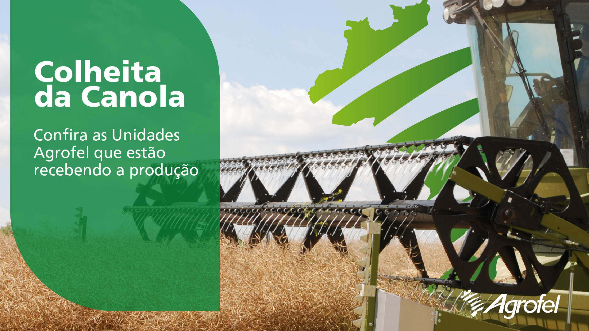 Leia mais sobre o artigo Começou a colheita de canola: confira quais unidades Agrofel estão recebendo sua produção 
